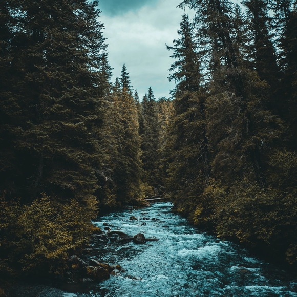 steevysh